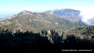 nte Scuderi-23-11-2014 09-48-20